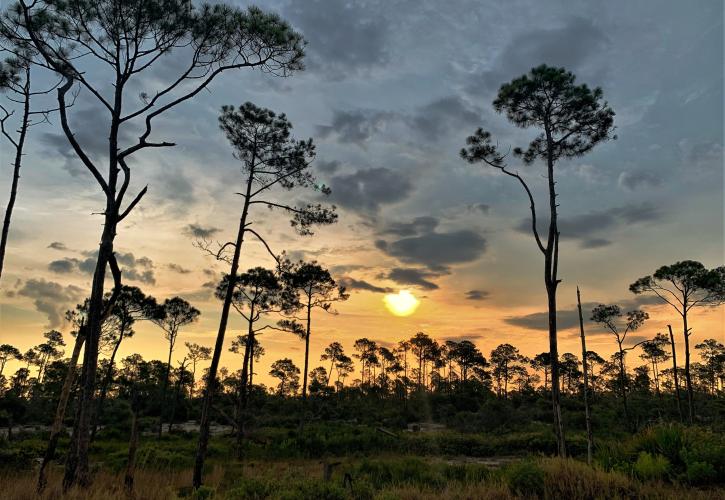 Sunrise over the ancient dunes